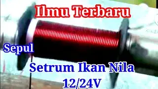 Fish stun reel reel 12v/24v