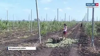 Репортаж Школа фермеров