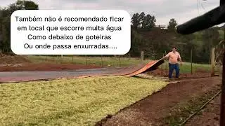 Como armazenamos a silagem de milho aqui .