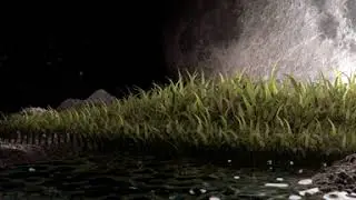 GrassRS2