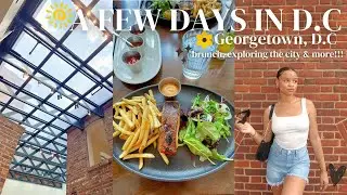 A FEW DAYS IN D.C | brunch, exploring the city & more!!!