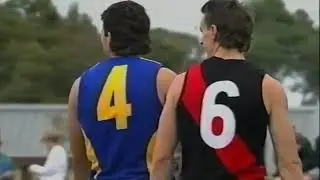 1991 - Essendon vs West Coast - Rd 8