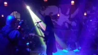 Navicula - Orang Utan