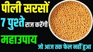 पीली सरसों के अचूक उपाय। peeli sarso ke upay।pili sarso ke totke।sarso ke achuk upay।