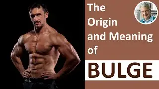 The Origin and Meaning of BULGE (4 Illustrated Examples)