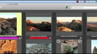 Introduction to Photo Mechanic