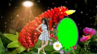 green screen video,green screen,wedding green screen effects,green screen