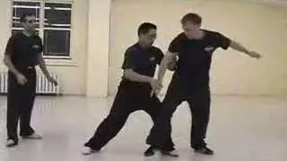 Tai Chi Push-Hands ( Tui Shou, 推手)