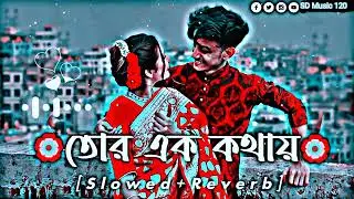 Tor Ek Kothaye। তোর এক কথায়। (Slowed+Reverb)। Lofi Remix। Bangla Song