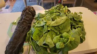 Epinards au poisson fumé(Spinach with smoked fish)