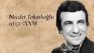 Gitmesin Gözlerinden Pırıl Pırıl Arzular - Necdet Tokatlıoğlu - 20th Century Turkish Music