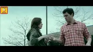 Ворон матерится на парня и посылает его - Вороны сквернословы