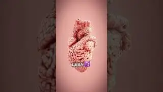 Базовый курс астрологии "С нуля до профессии"
