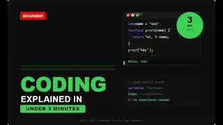 Variables, Functions, Loops — Here's What They Do