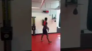 Lorenz Larkin demolishes Joe Rogan’s kick power score at the UFC PI with ease