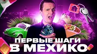 Твои первые шаги в Мексике | Мехико 2023