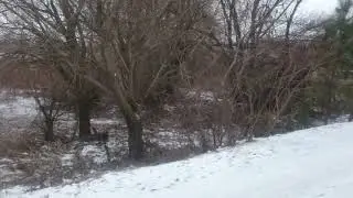 после упорного труда
