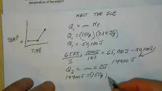 Unit 3 WS4 4-5