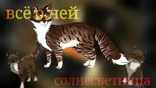 всё о Солнцесветницы и как я её вижу !!