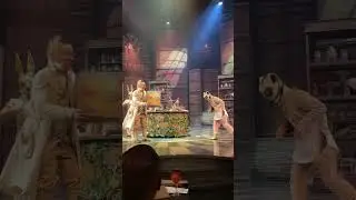 Необычное представление в самом популярном цирке Мексики!