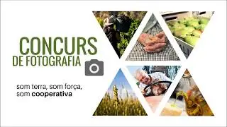 10 finalistes concurs de fotografia 