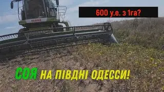 Шок 600 у.е.,  з 1га на півдні! Жнива Сої 2023!