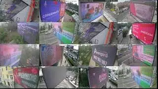 amedia отчеты