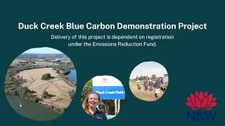 Duck Creek Blue Carbon Demonstration Project