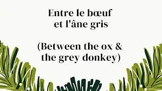 Entre le bœuf et l'âne gris (Between the ox and the grey donkey) | Orchestra