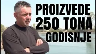 GODISNJE PROIZVEDE 250 TONA LUBENICE