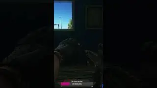 ледуха на тамоге 