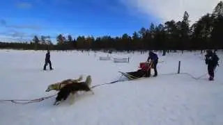 AVENTURAS EN EL ÁRTICO