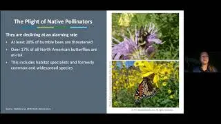 How Everyone Can Contribute to Pollinator Conservation with the Xerces Society