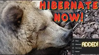 Hibernation option missed? Learn how to add it back to Power Option menu!