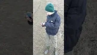 Курица