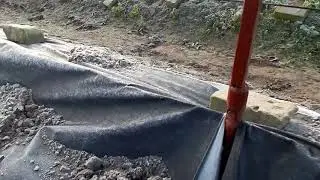 Укрытие виноградника.Защита от мышей. Сезон закончен.