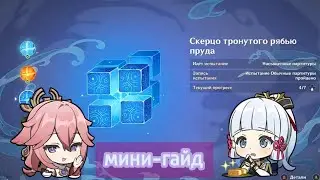Скерцо тронутого рябью пруда||МИНИ-ГАЙД