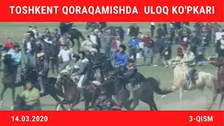 КАТТА УЛОҚ КЎПКАРИ ТОШКЕНТ ҚОРАҚАМИШДА (14.03.2020) 3-ҚИСМ