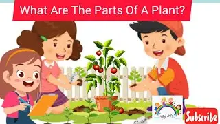What Are The🌼 Parts Of A Plant?🌱🍅#educationalvideo #kidsvideos #easylearning