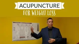 Acupuncture and Weight Loss | Acupuncture Care in Madison, WI