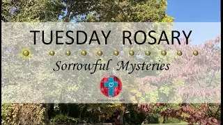 Tuesday Rosary • Sorrowful Mysteries of the Rosary 💜 October 29, 2024 VIRTUAL ROSARY - MEDITATION
