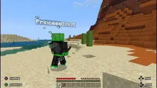 Playing MINECRAFT Survival