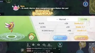 How to Catch Pet in ROX ( HORNET )