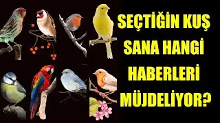 SEÇTİĞİN KUŞ SANA HANGİ HABERLERİ MÜJDELİYOR?