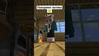 а чем вы кормите своего котика 🤨