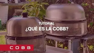 ¿Qué es la COBB?