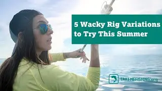5 Wacky Rig Variations to Try This Summer