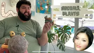 #Oddball