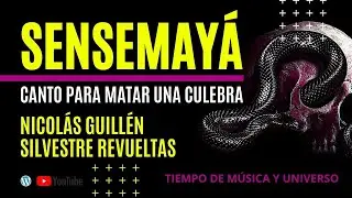 What's the REAL Meaning Behind SENSEMAYÁ?