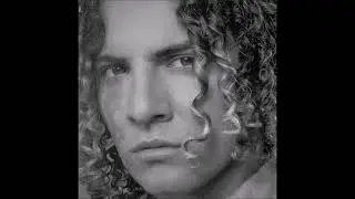 DAVID BISBAL DAME EL AMOR
